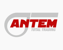 Logo design Antem