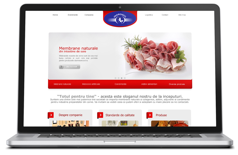 Creare website de prezentare-0